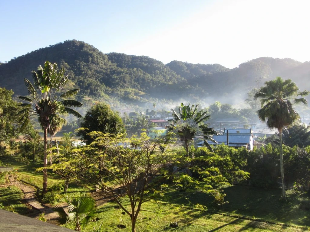 Evertreen Madagascar